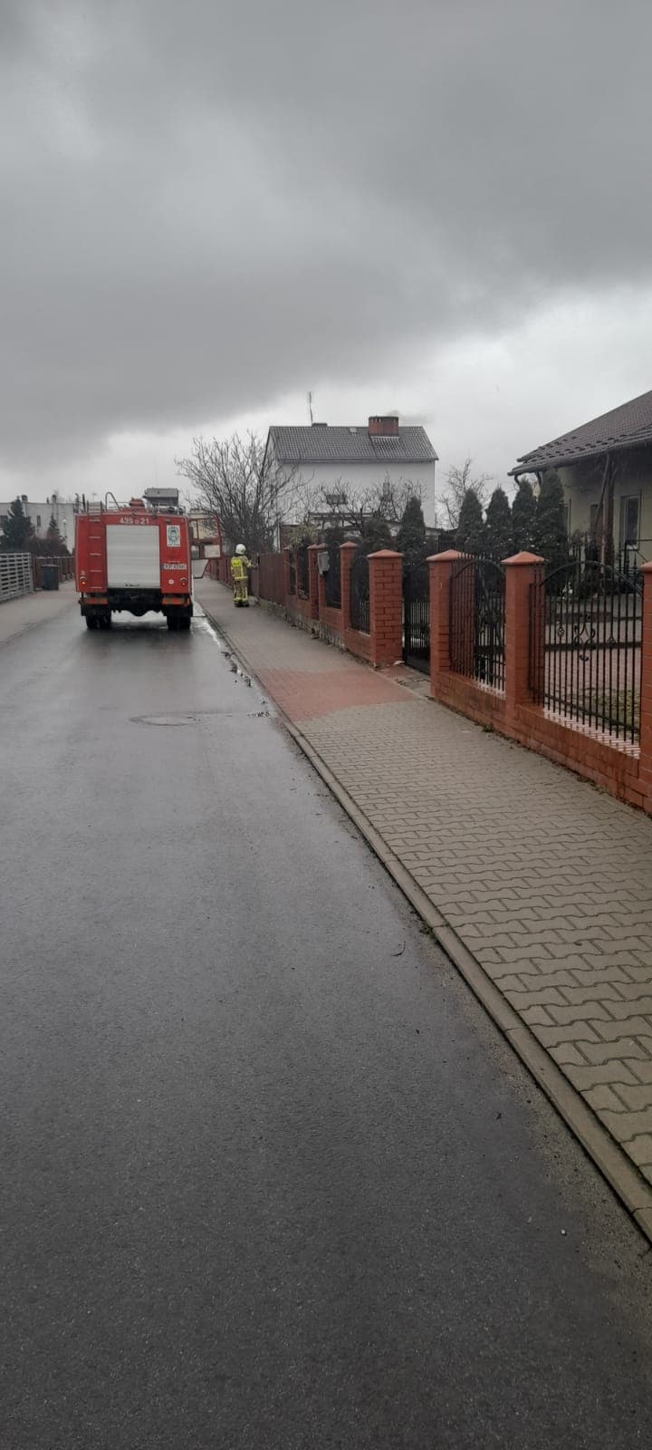 163178877_424816752112790_5285197909020253275_n