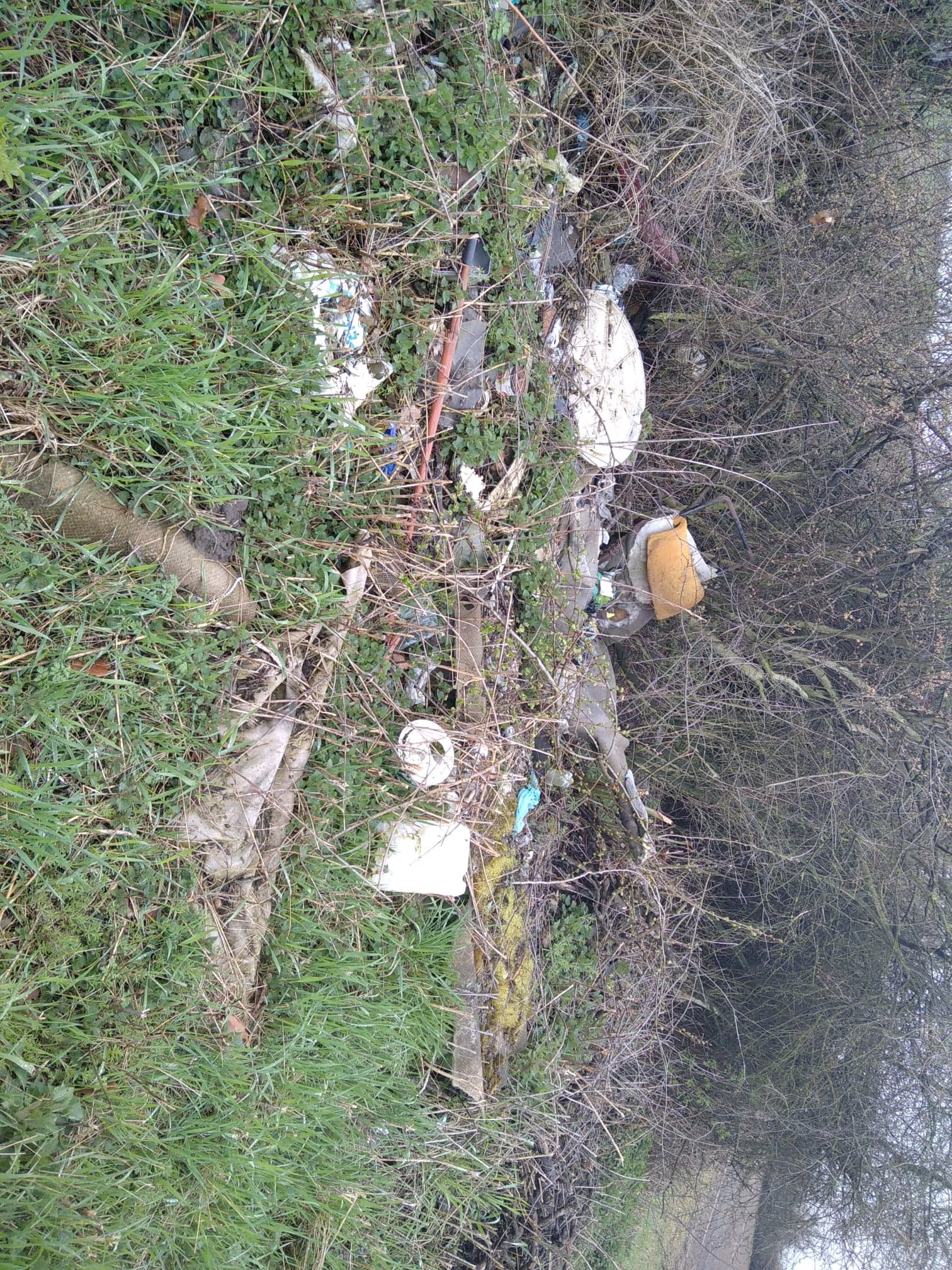 175688919_1681050605416463_2872010750480414034_n