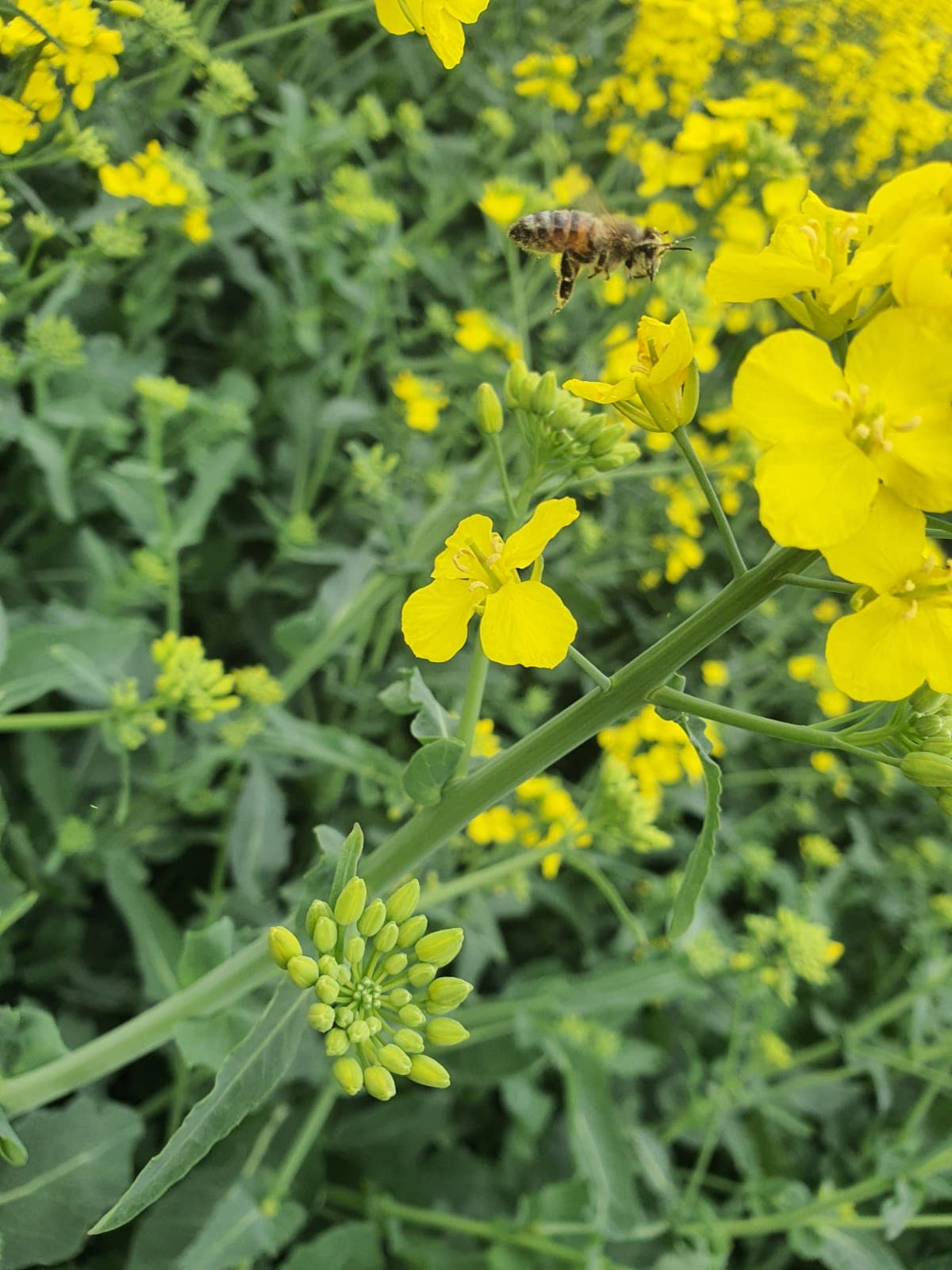 188010496_920997911804939_3031796869232789664_n