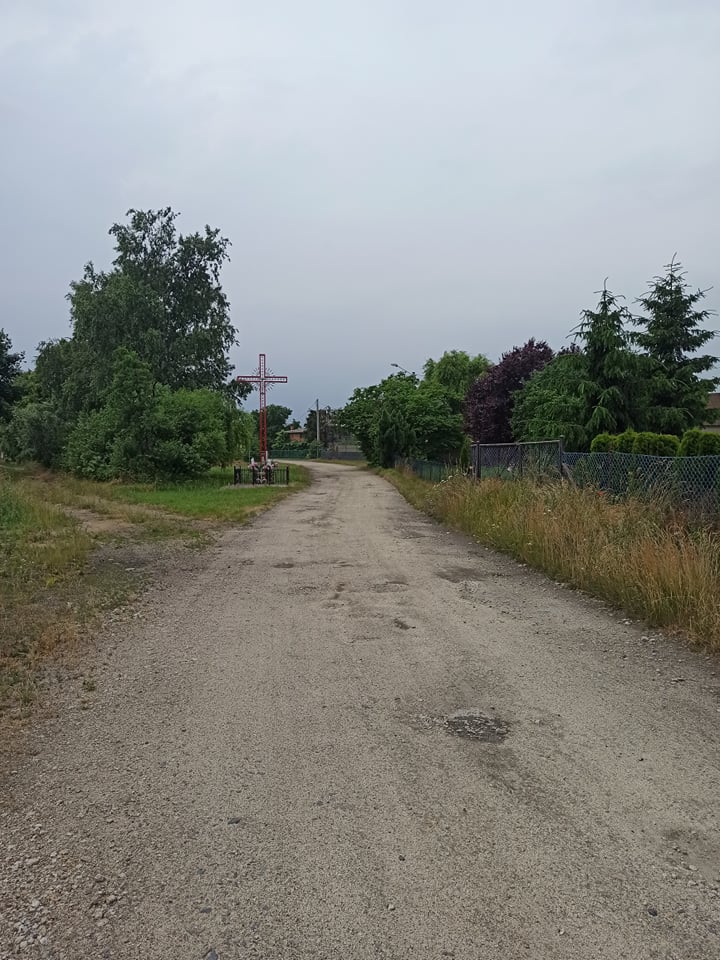 201782463_543244253510482_72701981740810209_n