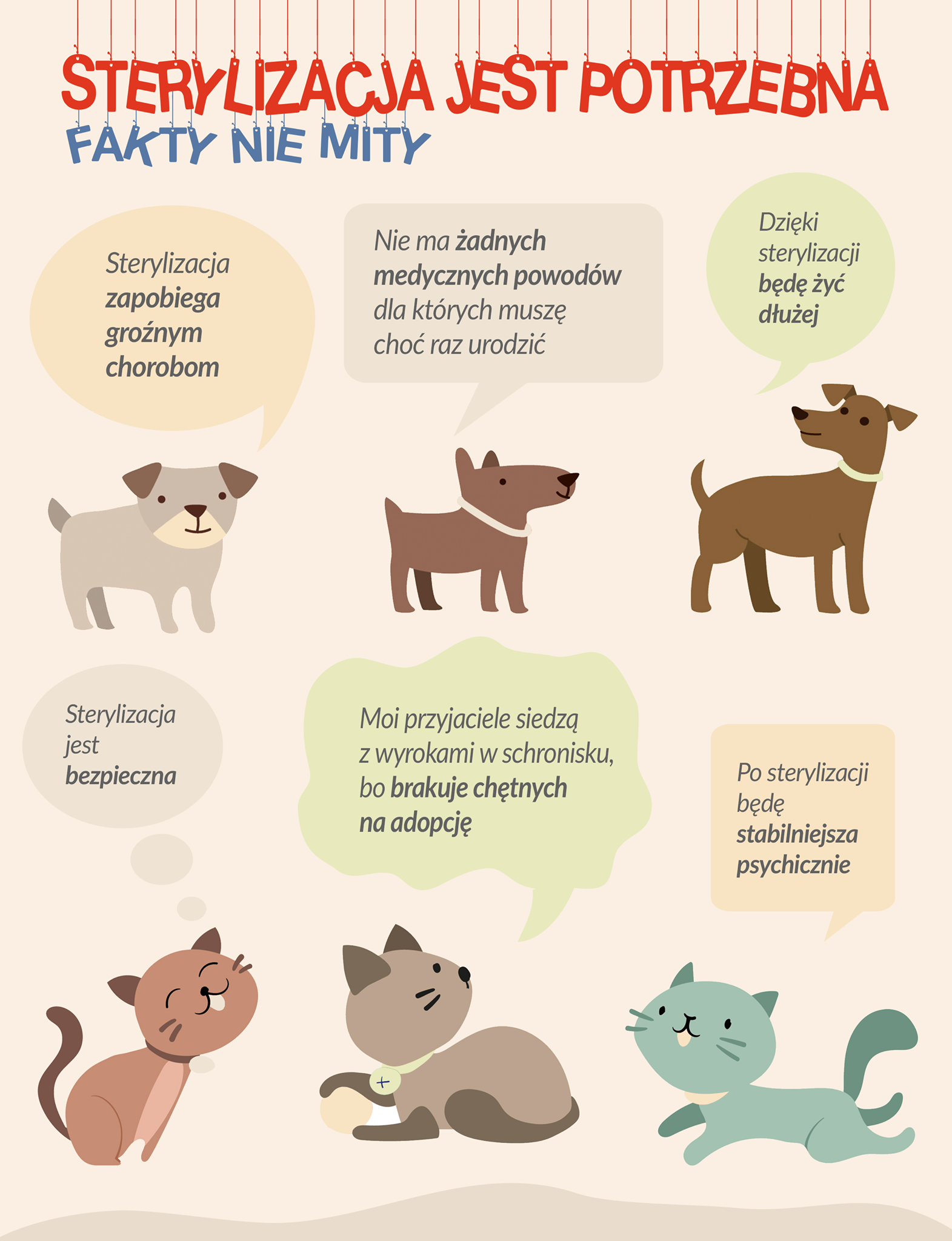 245595221_265084788834634_6967009140796382674_n