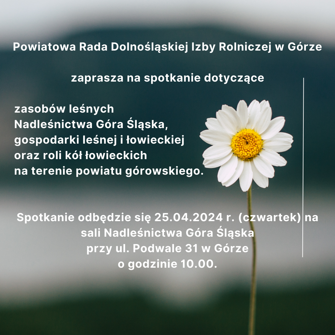 zaproszenie-na-spotkanie