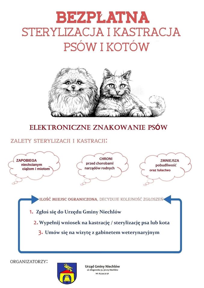 koty