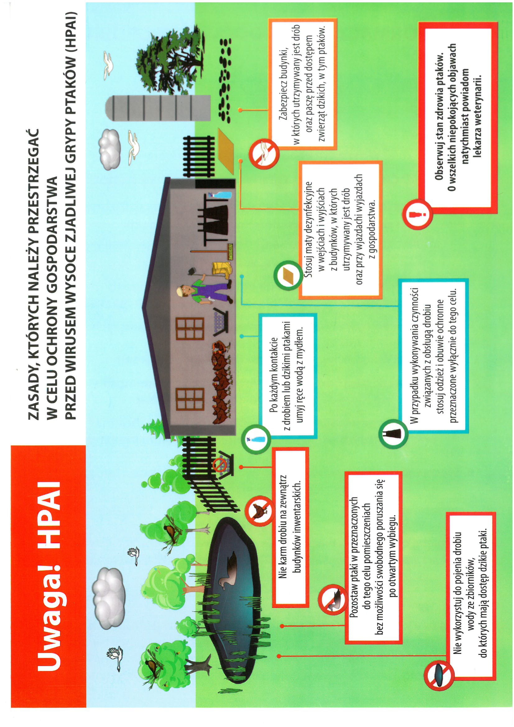 sug_niechlo22122011120-2